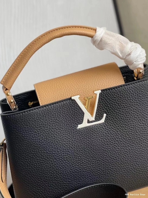 Aaa replica ru Vuitton CAPUCINES MM Louis 0722